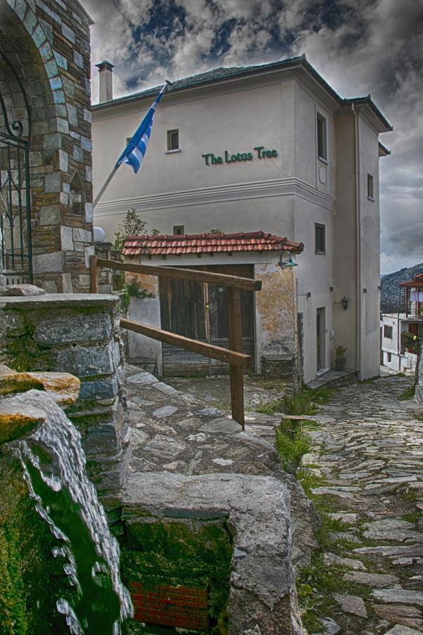 The Lotus Tree Archontiko & Pelion Activity Lodge 외부 사진